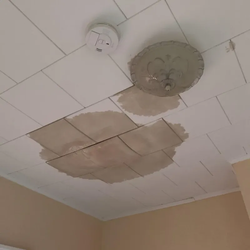 Ceiling Water Damage Repair in Hallock, MN