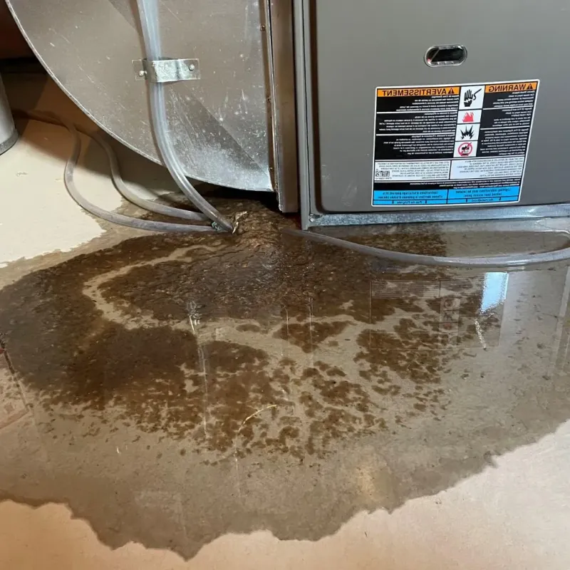 Pipe Burst and Leak Restoration in Hallock, MN