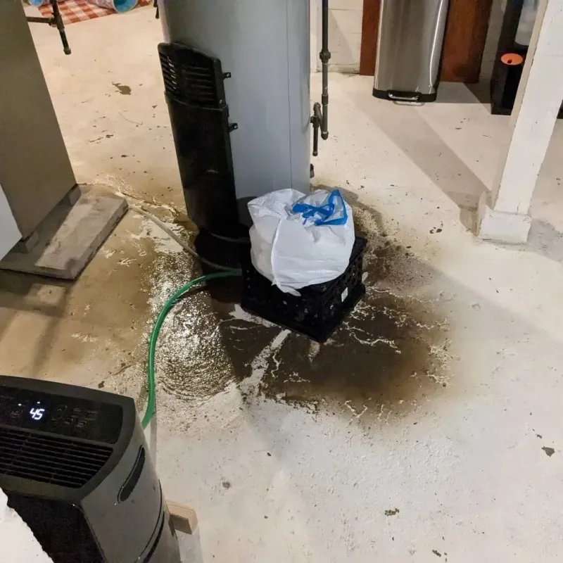 Sewage Backup Cleanup Service in Hallock, MN